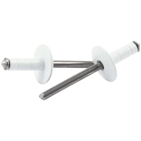 Allstar Performance Large Head Multi-Grip Rivet; White, 250PK ALL18096